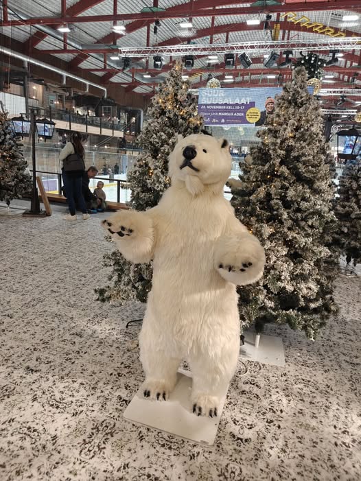 597352859 3403813029770278 7942755117675635201 n