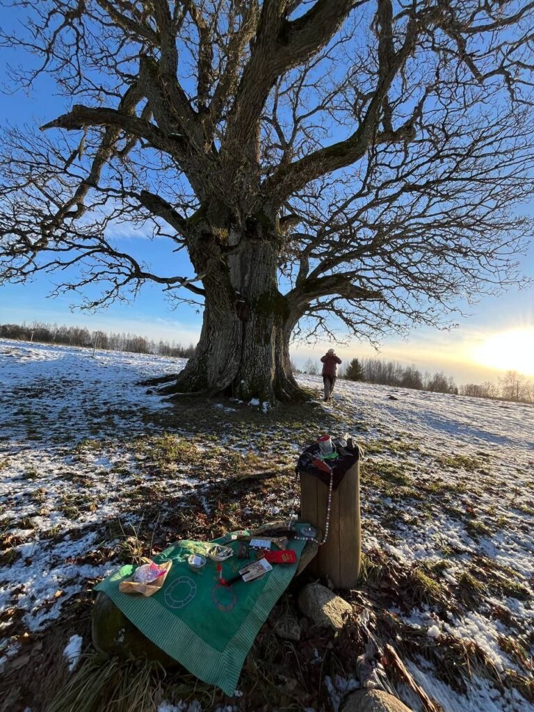 photo 8 2025 12 18 19 04 23