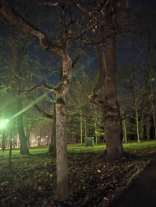 658159627 3521521204666126 3117891316873129727 n